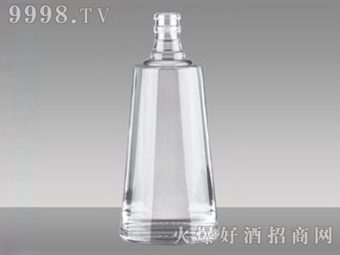 ƿƿR-209ſ 500ml